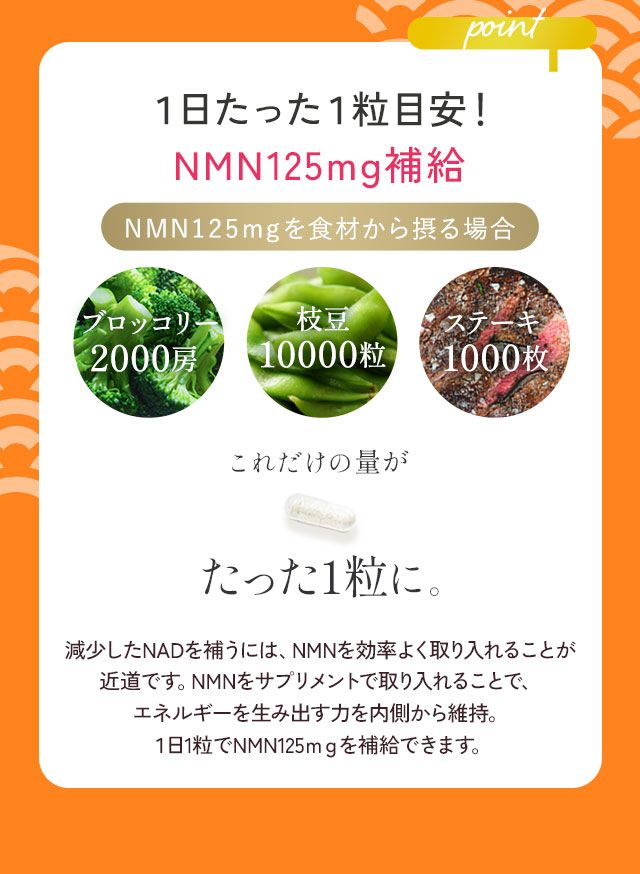美的ラボ｜初夢キャンペーン【2025年】