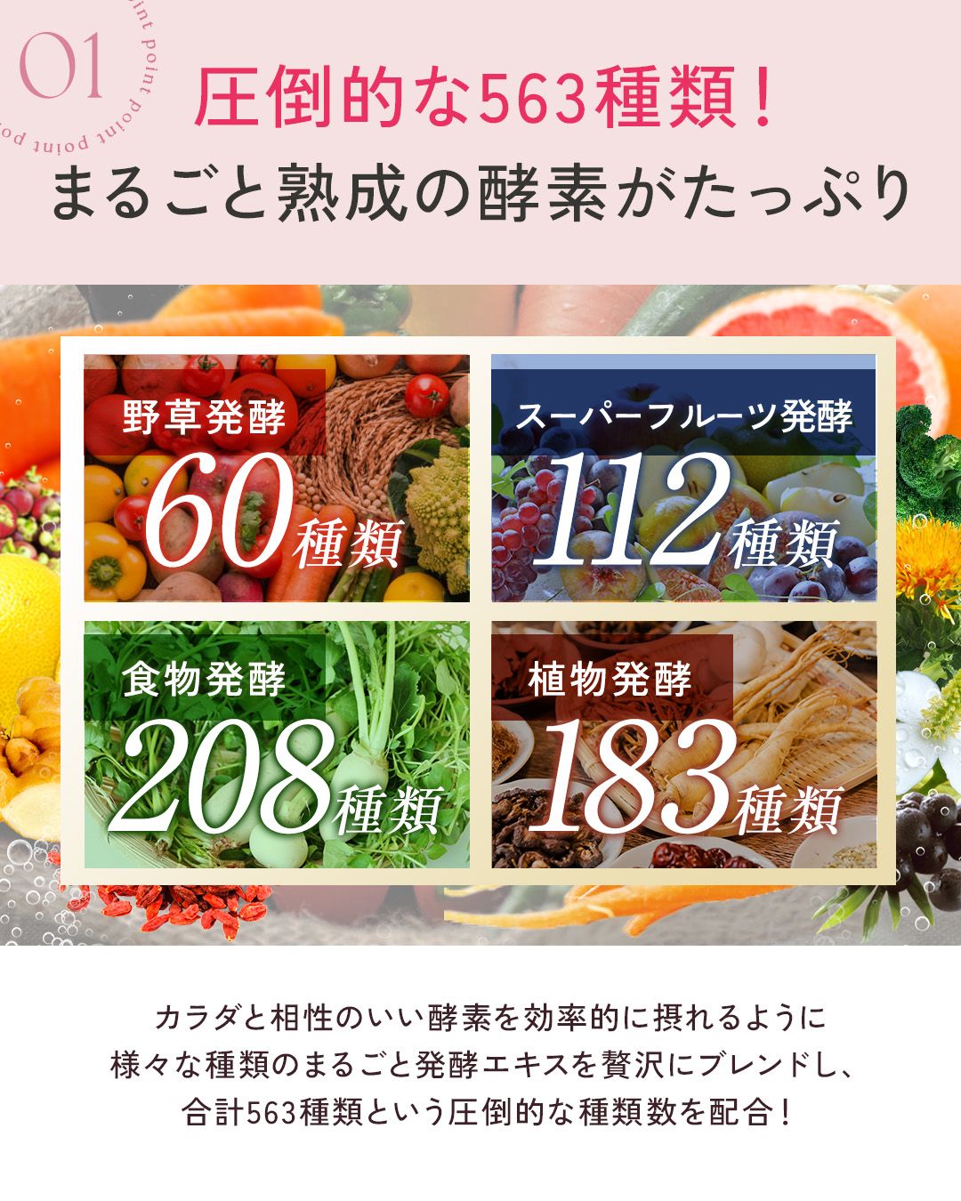 250404_namakouso_slide_02.jpg