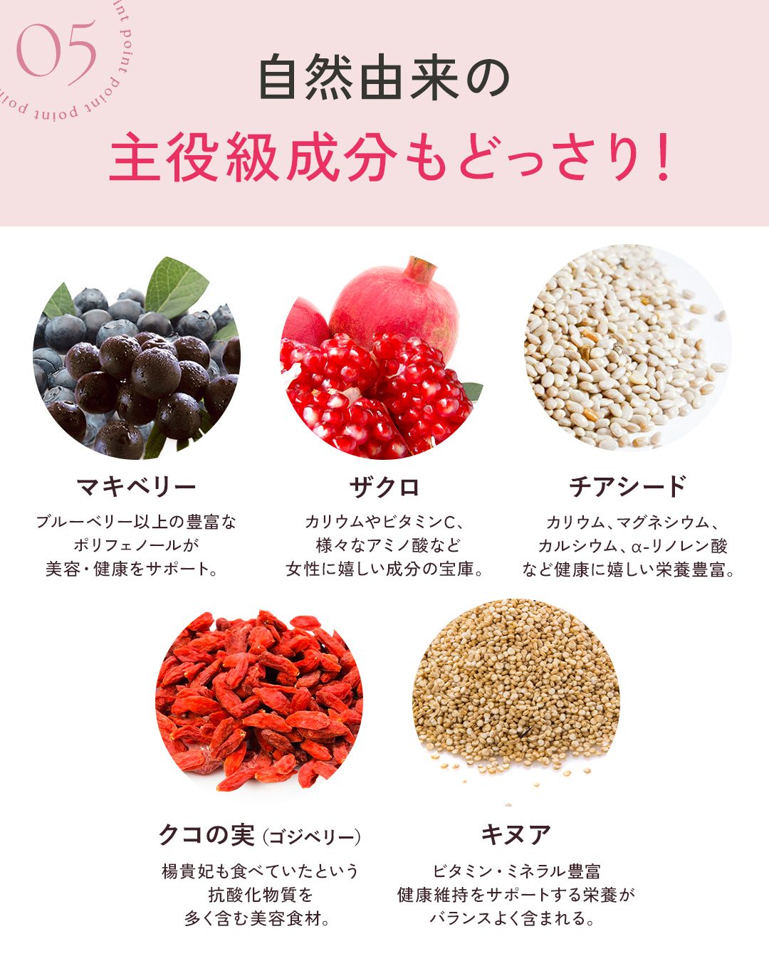 250404_namakouso_slide_06.jpg