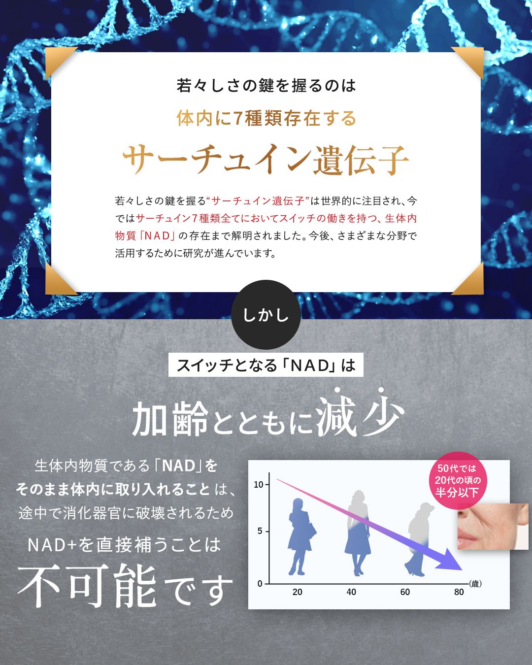 250404_nmn_slide_02.jpg