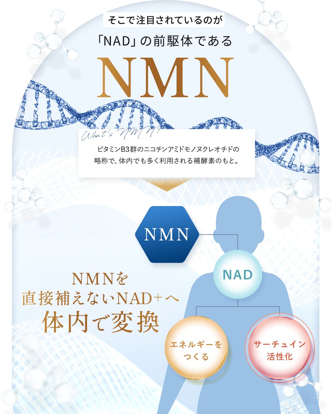 250404_nmn_slide_03.jpg