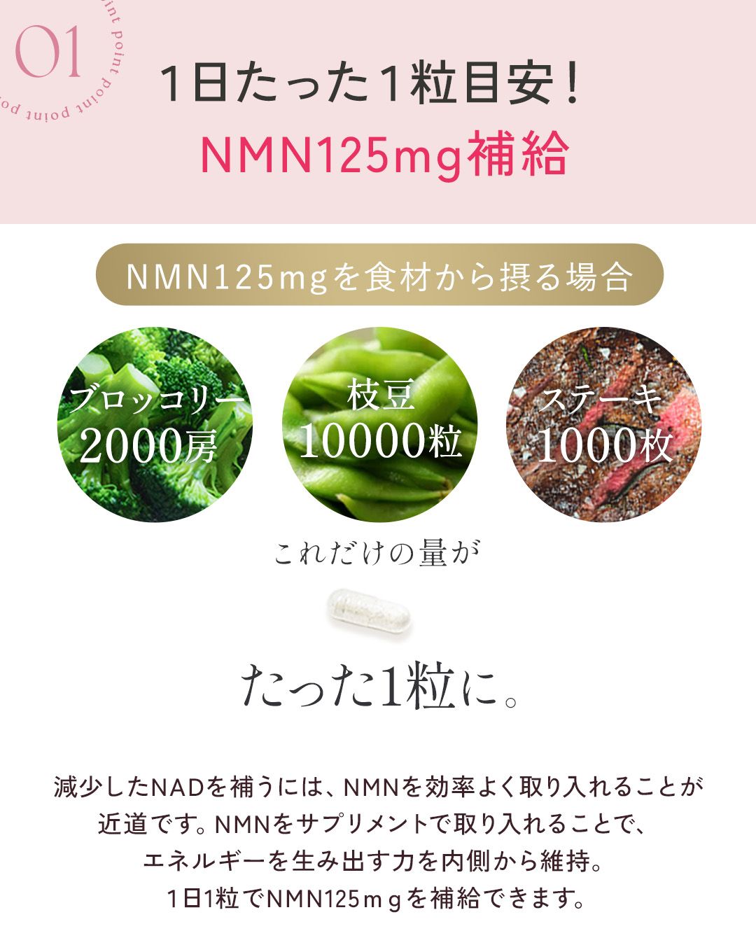 250404_nmn_slide_04.jpg