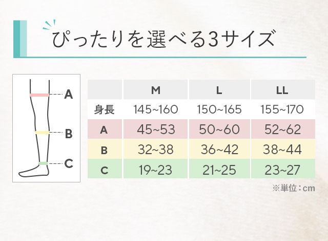 サイズ表