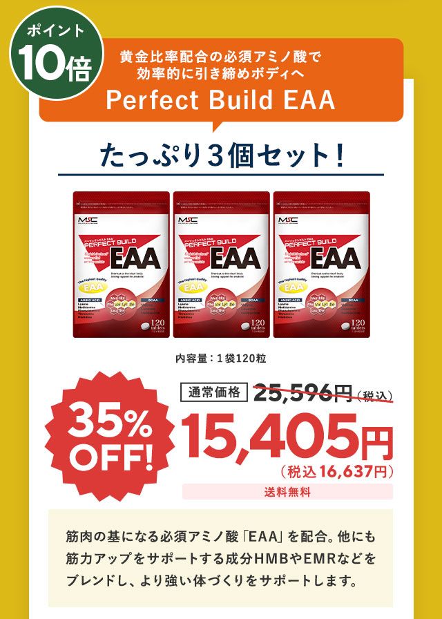 Perfect Build EAA3個セット