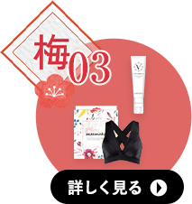 梅3コースの詳細へ